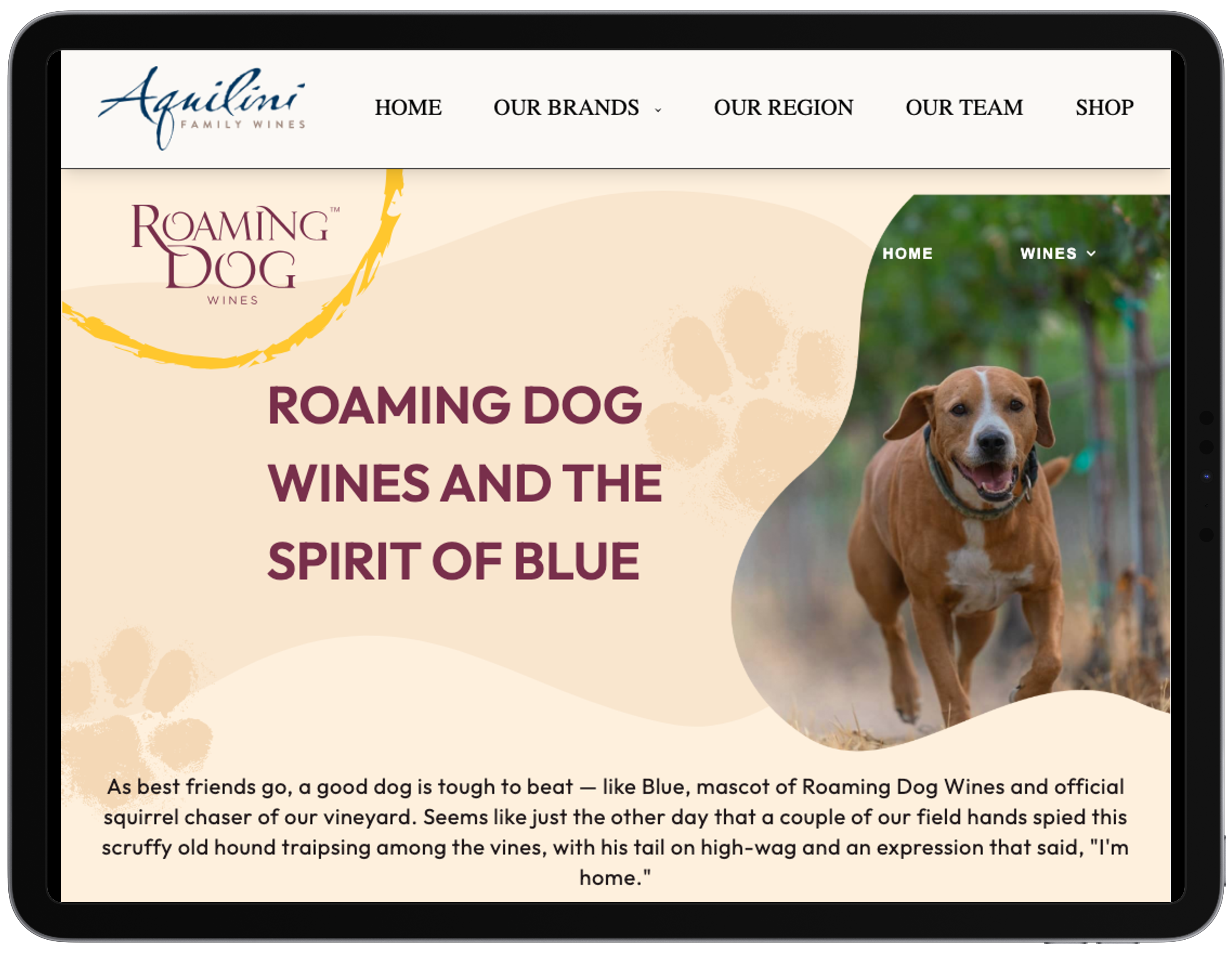 Aquilini Wines